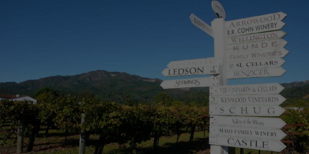 A Sonoma branding sign in front of a vineyard, showcasing diverse directions.
