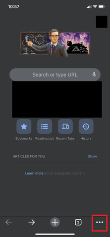 A screenshot of the search button on an iPhone, with options to clear browser cache.