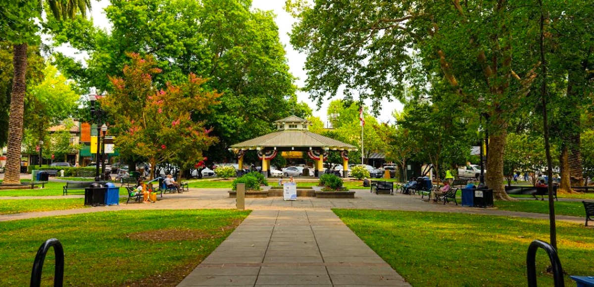 A tree-filled public park with a central gazebo decorated with bunting, benches along walking paths, and people sitting in the shade. Cars are parked around the park’s edge and a U.S. flag is visible near the gazebo.