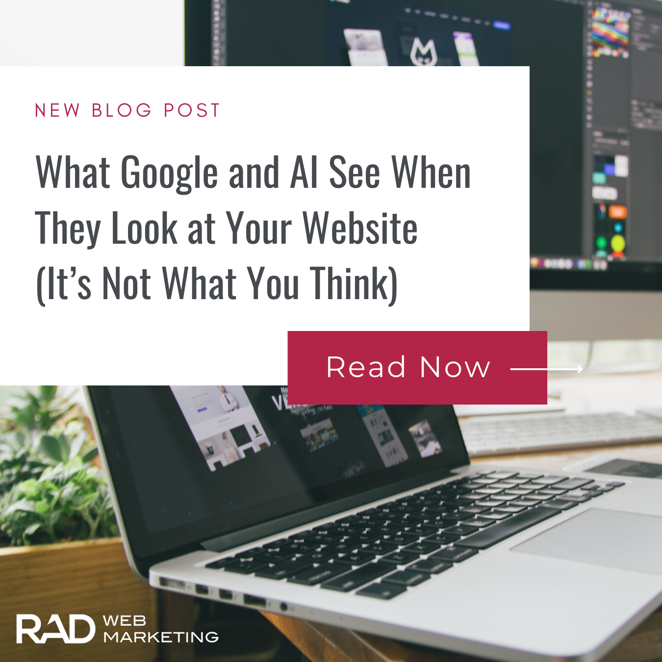 What Google and AI See When They Look at Your Website (It’s Not What You Think)